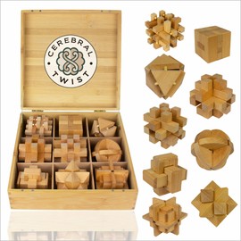 FLALE VITALE - Wooden Brain Teaser Puzzles for Adults - Coffee Table Puzzles - Wooden Wire Teaser - Brain Puzzle for Adults - Wood Brain Teasers - Brain Teasers
