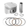 Road Passion Road Passion Engine Piston and Rings Set for