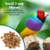 Scenic Allprem Canary and Finch Bird Food | Formulated Diet