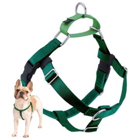 2 Hounds Design Freedom No Pull Dog Harness | Comfortable Control for Easy Walking | Adjustable Dog Harness | Small, Medium & Large Dogs | Made in USA | Solid Colors | 1" MD Kelly Green
