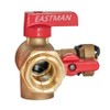 Eastman Tankless Water Heater Service Valve Kit, 3/4 Inch FNPT
