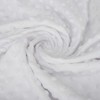 Pro Goleem Baby Soft Minky Dot Blanket with Silky Satin