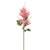 SilksAreForever 34" Artificial Astilbe Flower Stem -Tea Berry (Pack of