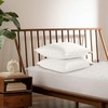 Serta 233 Thread Count White Goose Feather Medium Firm 100%