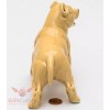 Porcelain Figurine of the American Staffordshire Bull Terrier Dog