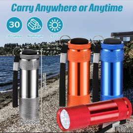 VIHOSE 20 Pcs Mini Flashlights Bulk, Bright Aluminum Handheld Flash Light with Lanyard Small LED Flashlights for Night Reading Emergency Hurricane Camping Hiking, Batteries Not Included(Lovely)