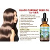 Botanical Beauty BLACK CURRANT SEED OIL 100% Pure Natural Undiluted
