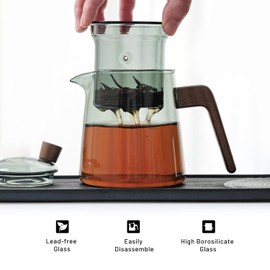 Tea Canyon Glass Teapot with Removable Glass Infuser, Teapot Kettle for Blooming and Loose Leaf, Borosilicate Glass Tea Maker 17oz/500ml