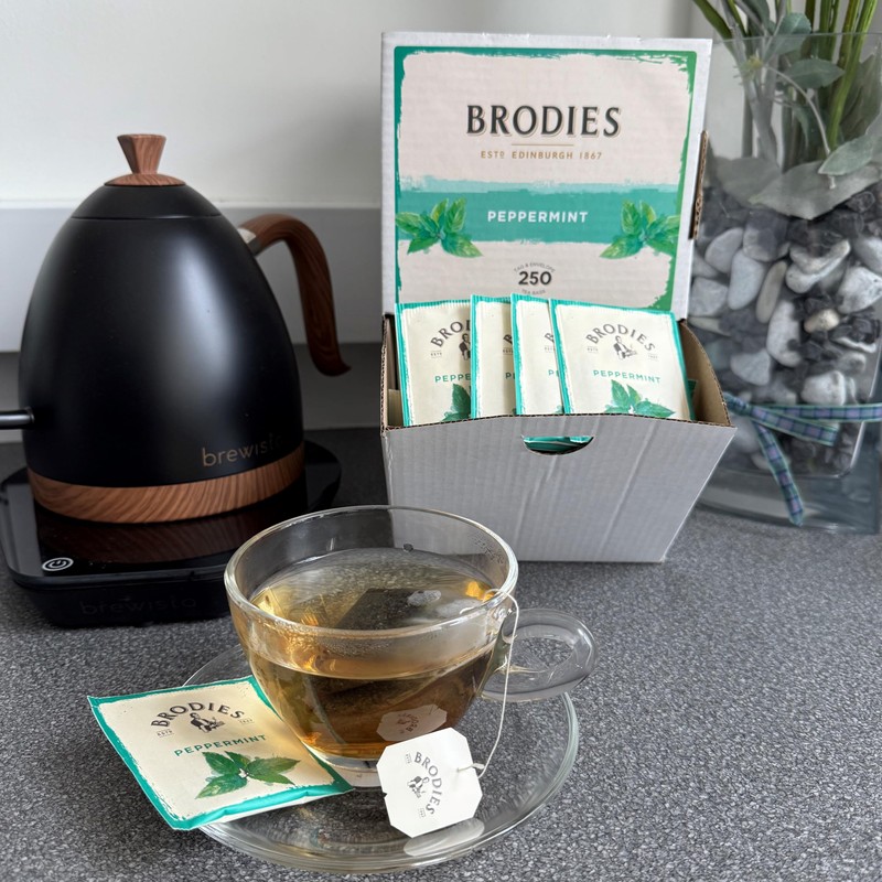Brodies Peppermint Tag and Envelope - 1 Dispenser box of