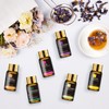 Mayjam Essential Oil Set, Aroma Oil Set, Essential Oils, Trial
