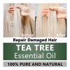Aceite Esencial De Árbol De Té 100% Puro Y Orgánico