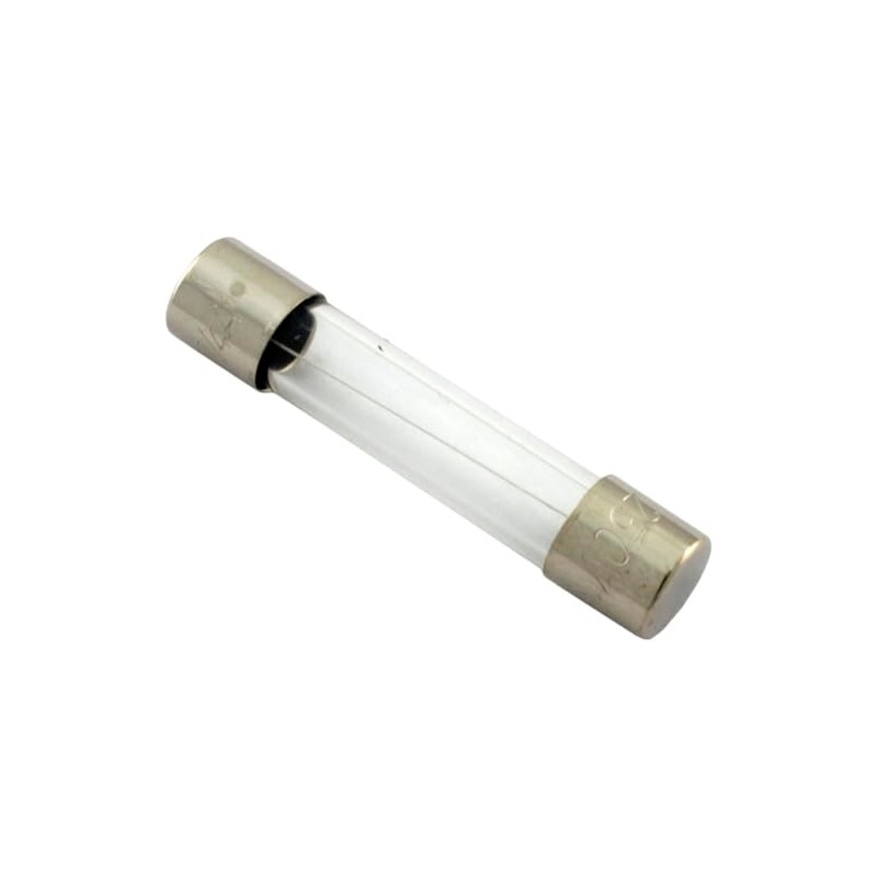 Pentair Fireman Switch Fuse, MasterTemp/Max-E-Therm, 1.25A
