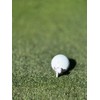 DRIVE TEE World Standard Golf Tees with Minimal Resistance for