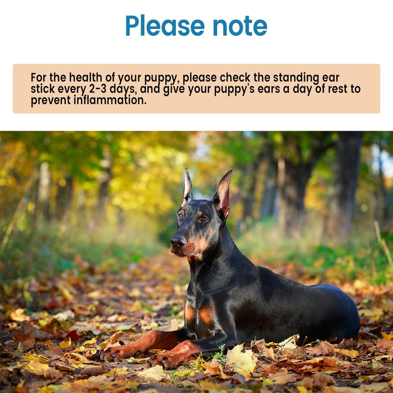 Doberman Ear Posting Kit - Stand Up Support Tool with