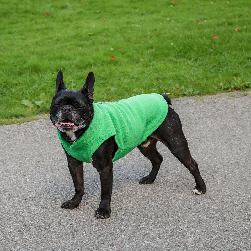 JACKO & CO - Fleece Vest Sweater with Leash Ring