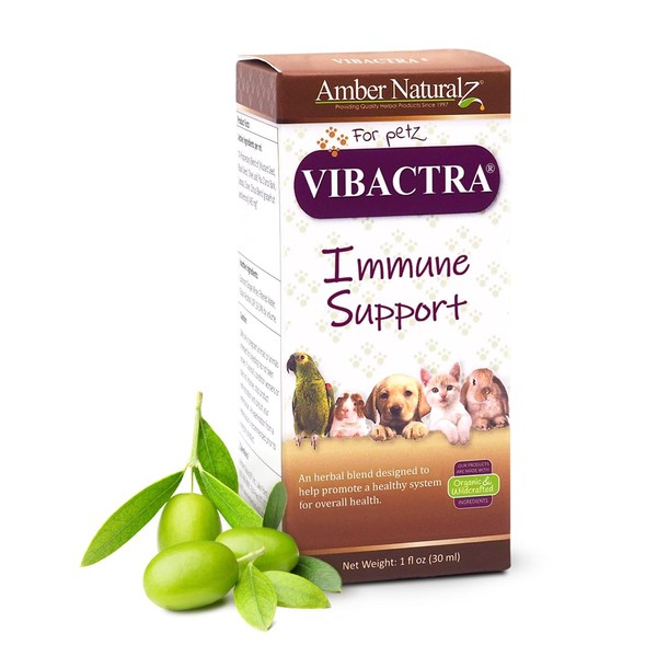 Amber Naturalz Vibactra Immune Support- an antioxadant enriched Formula Helps Fight Free radicals, Supports Healthy Teeth and Gums, maintains Healthy Gut Flor, Supports Upper Respiratory Healthy 1 Oz