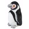 Ravensden Humbolt's Penguin Standing 21cm