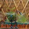New Quick Connector Drip Irrigation Kits,Automatic Irrigation System with Replaceable