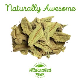 Herbalista - Wildcrafted Whole Guava Leaf Tea | 4oz (113g), 60-80 Leaves for 30 + Cups | Pure & Natural Loose Leaf Guava Tea | Handpicked, Non-GMO, Caffeine-Free | Te Hojas de Guayaba Enteras