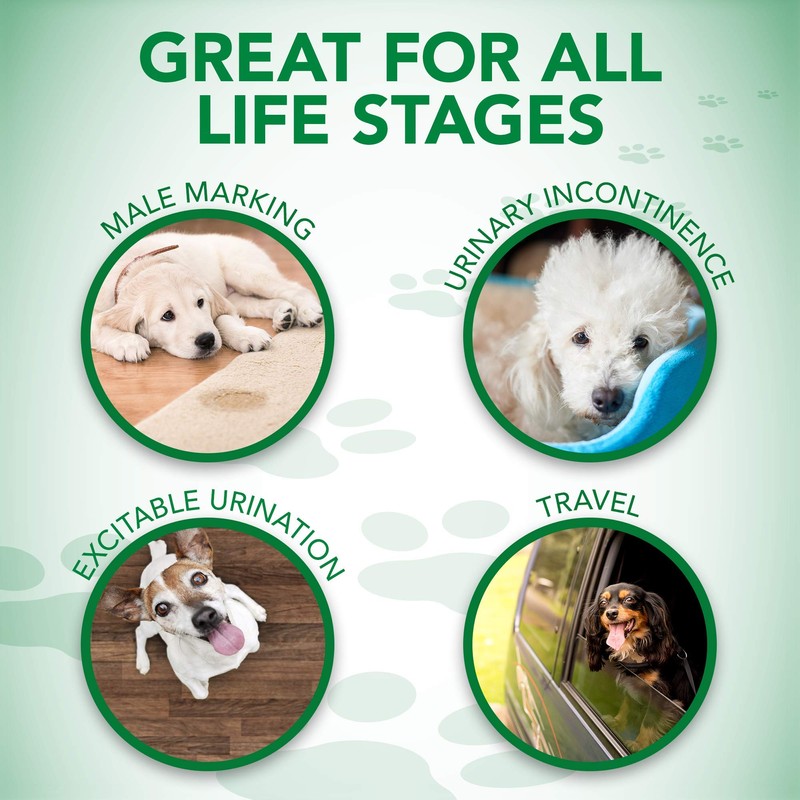 Vet's Best Comfort Fit Disposable Male Dog Diapers - Absorbent