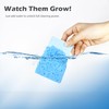Cellulose Kitchen Sponges for Dishes(6 Pack)