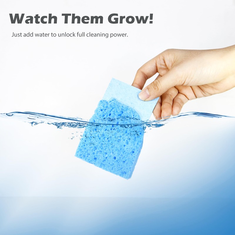 Cellulose Kitchen Sponges for Dishes(6 Pack)