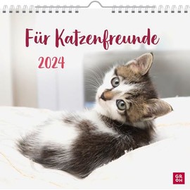 Wandkalender 2024: Für Katzenfreunde: Dekorativer Kalender zum Aufhängen mit Monatskalendarium für Katzenbesitzer