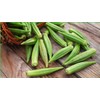 NIKA SEEDS - Seeds Vegetable Okra Louisiana (Ladies Fingers, Ochro)