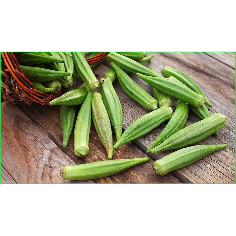NIKA SEEDS - Seeds Vegetable Okra Louisiana (Ladies Fingers, Ochro)