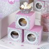 Frills & Spills - 5 Single Cupcake Box