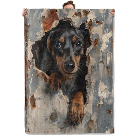 TRYYN Dachshund Peeking Throw Blanket for Couch Picnic Camping Outdoor Decor, Cute Dog in Rustic Metal Wall, Super Soft Cozy Plush Fluffy Fleece Blankets Gifts for Pet Lovers, 60x50 Inch