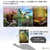 Cerema Renorman Oracle Thelema Lenormand Oracle Card Divination, Japanese Instruction