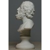 Greek Bust of 1st Epic Poet Author Homer Art Statue
