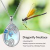 Dragonfly Gifts Necklace for Women Girls Sterling Silver Moonstone Dragonfly