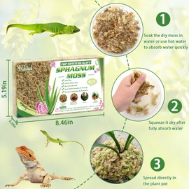 Halatool 6OZ Natural Sphagnum Moss for Plants 4 QT Premium Peat Moss Dried Long Fiber Orchid Moss for Orchid Repotting Carnivorous Succulents Garden Flowers Crafts Terrarium and Reptiles