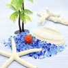 Faukart Cute Handmade Glassware Sandako