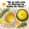 Beauty Freedom – Cera para Ceja Brow Organic Wax 15g