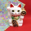 Castle Enterprise Maneki Neko (Medium) Coin Bank, Setoyaki, Made in