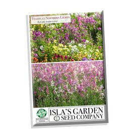 "Northern Lights" Toadflax Flower Seeds for Planting, 5000+ Seeds Per Packet, (Isla's Garden Seeds), Non GMO & Heirloom Seeds, Botanical Name: Linaria Maroccana, Great Home Garden Gift