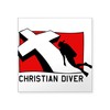 CafePress Christian Scuba Diver Rectangle Sticker Square Bumper Sticker Car
