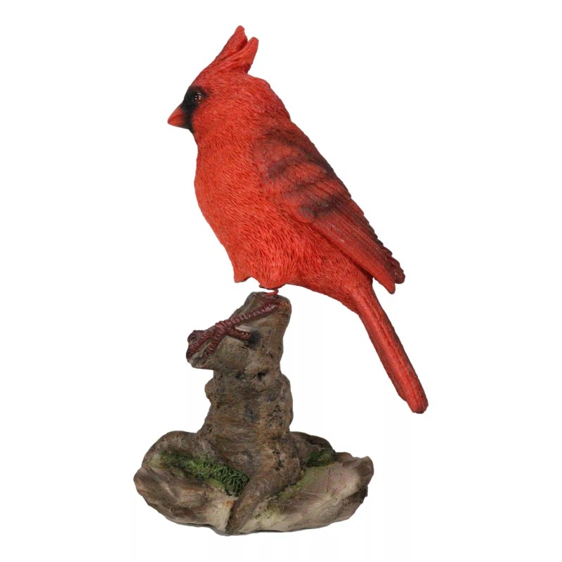 Wild Northern Red Cardinal Bird Perching on Tree Stump Spring