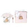 Cote Noire-Five Roses Pink Blush in Gold Badge Pink Box