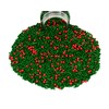 Mystic Sprinkles Christmas Holiday Jimmy Sprinkle Mixes (Deck the Halls!