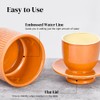 French Butter Crock for Counter with Water Seal, Ceramic French