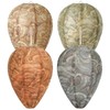 DECYOOL 4 Pack Wasp Nest Decoy Natural Paper Hornet Deterrent