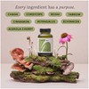 The Herbtender FOOD SUPPLEMENT. DAILY DEFENCE with Astragalus and Super-shrooms