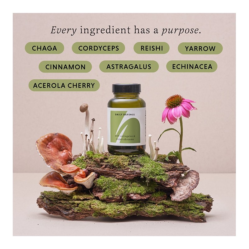 The Herbtender FOOD SUPPLEMENT. DAILY DEFENCE with Astragalus and Super-shrooms