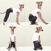 D Doggy Star Italian Greyhound Clothes Sleeveless Jeans Onesie Outfit