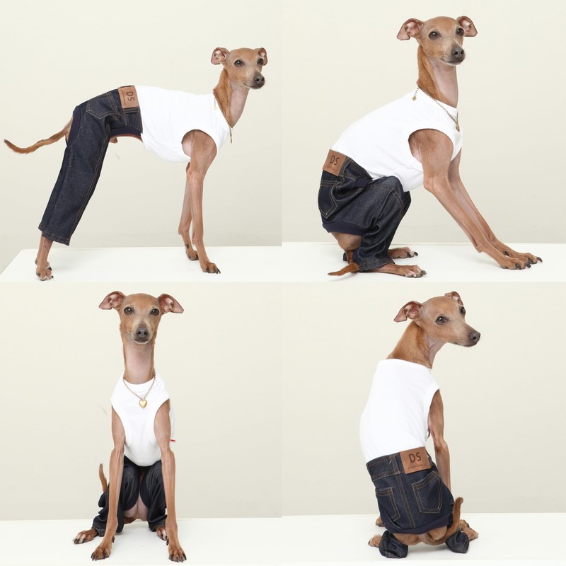 D Doggy Star Italian Greyhound Clothes Sleeveless Jeans Onesie Outfit