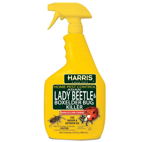 Harris Asian Lady Beetle and Box Elder Killer, Liquid Spray